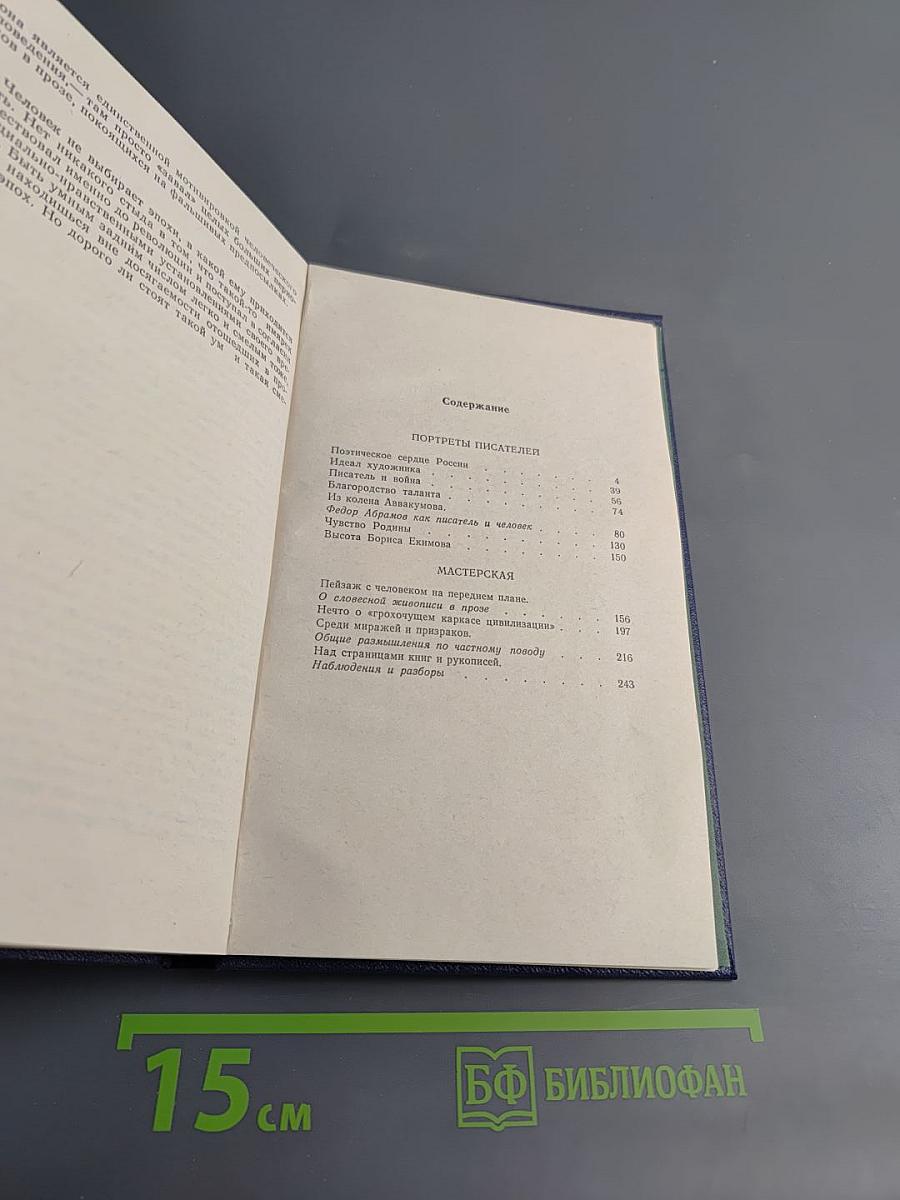 Достоинство слова