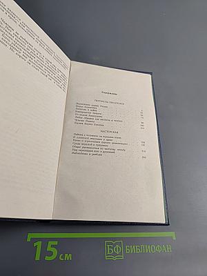 Достоинство слова