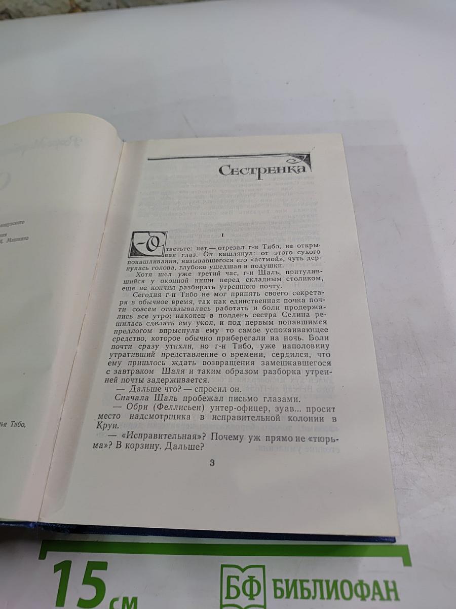 Семья Тибо. Том 2