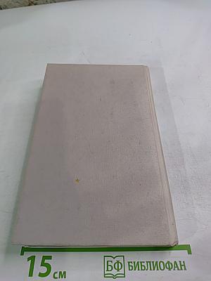 Отечественный опыт