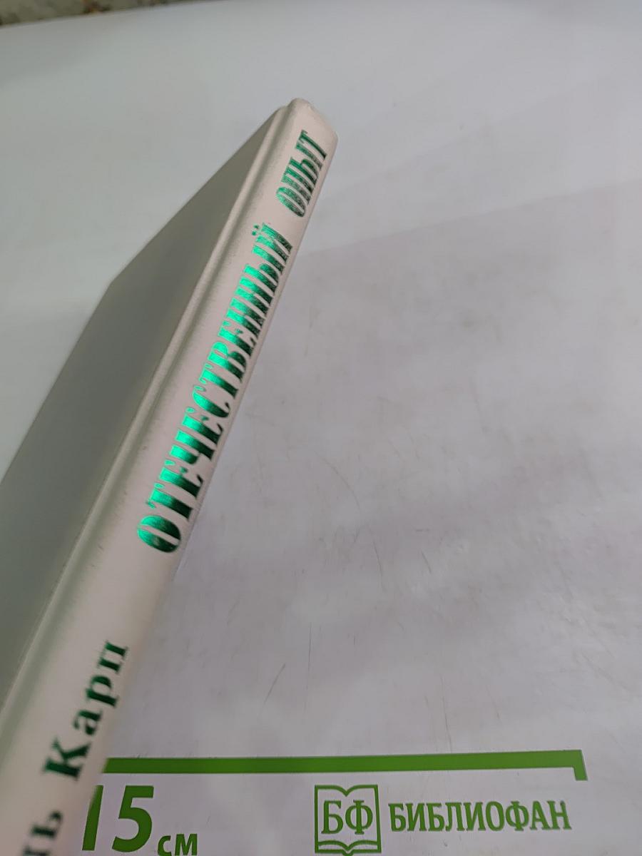 Отечественный опыт