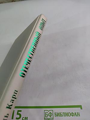 Отечественный опыт