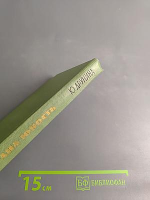 Страна юность. Избранные стихотворения