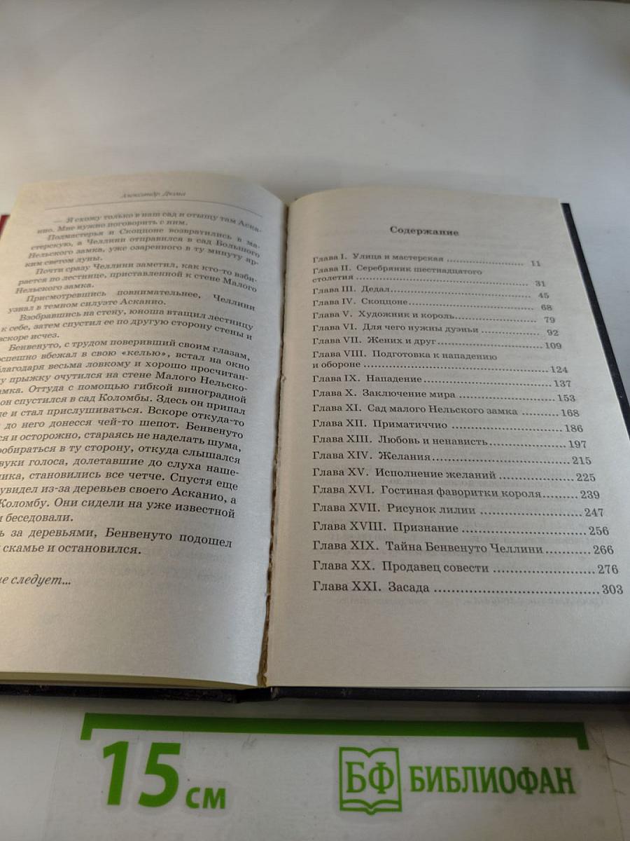 Асканио. Книга 1