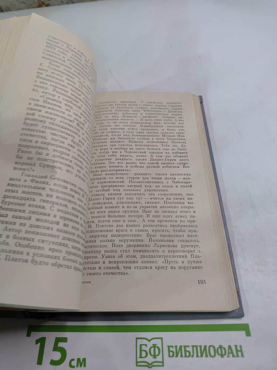 Высокой мерой правды. Литературные портреты