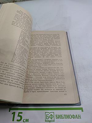 Высокой мерой правды. Литературные портреты