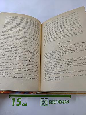 Бахчанов. Роман