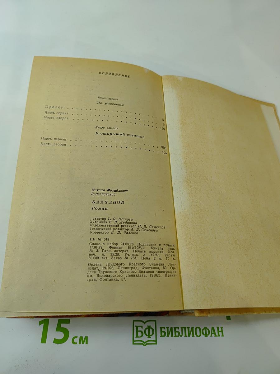 Бахчанов. Роман