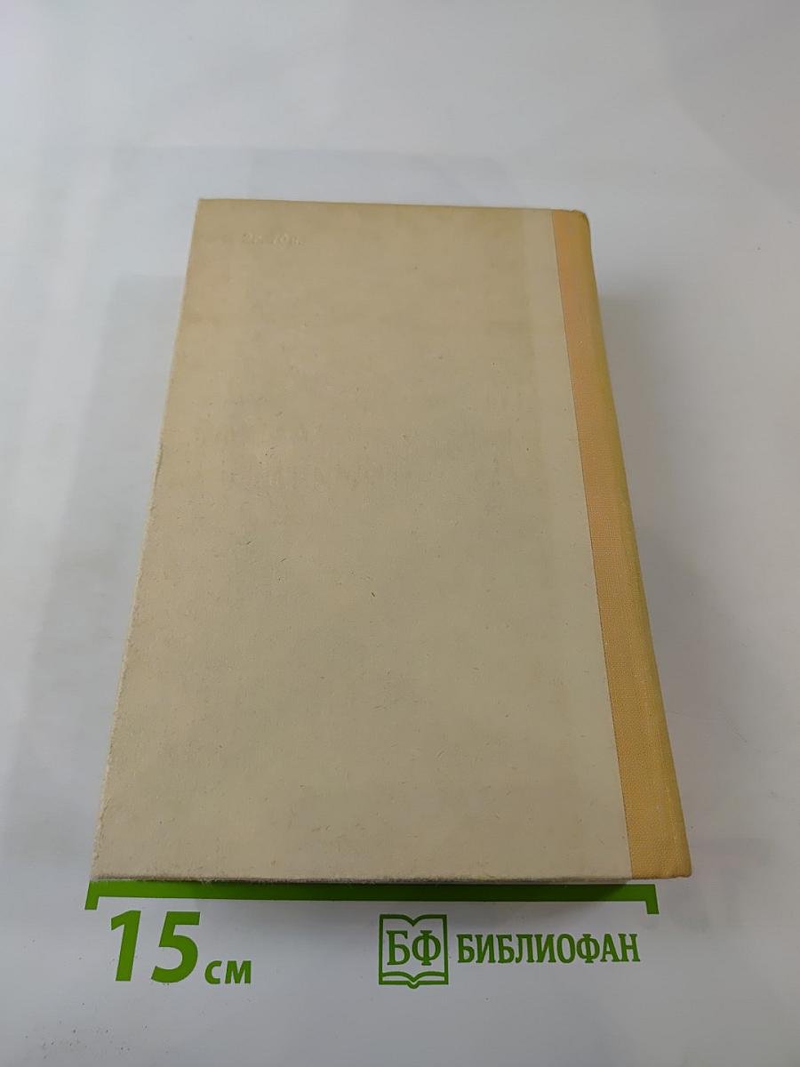 Бахчанов. Роман