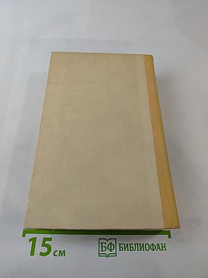 Бахчанов. Роман