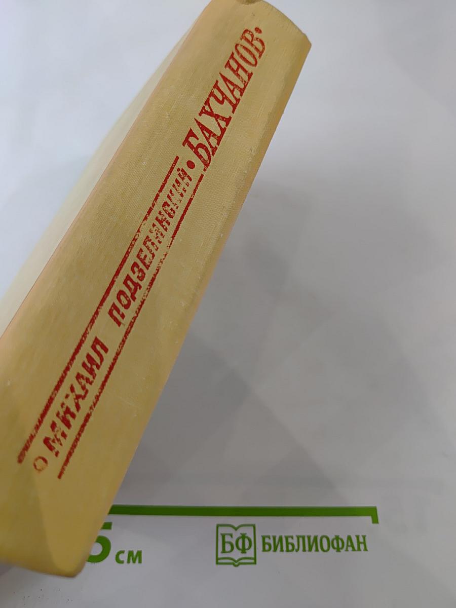 Бахчанов. Роман