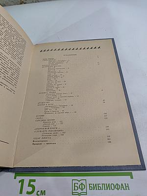 Открой мои книги... Разговор о Блоке