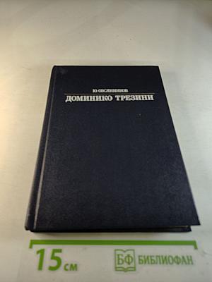 Доминико Трезини