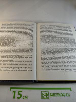 Доминико Трезини