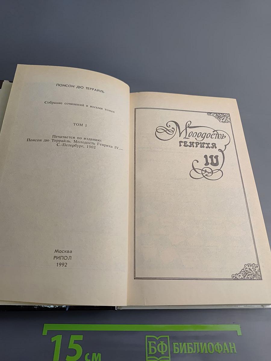 Молодость Генриха IV