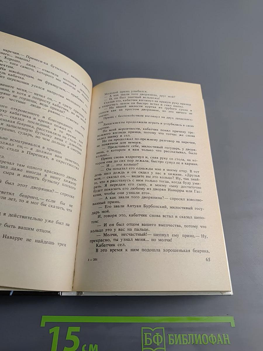 Молодость Генриха IV