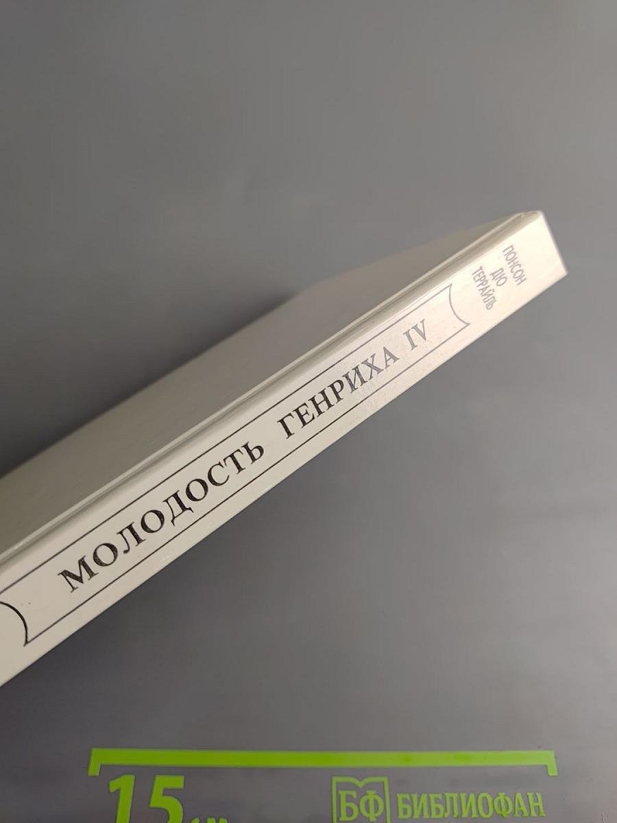 Молодость Генриха IV