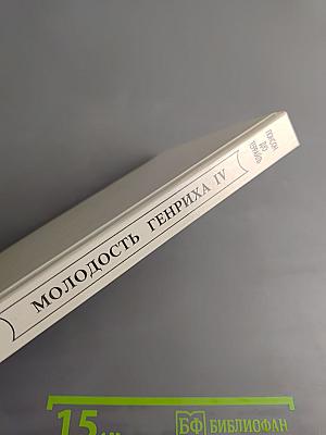 Молодость Генриха IV