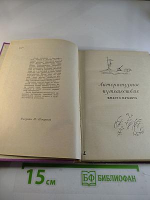 Сила молодая. Повесть о писательнице Марко Вовчок