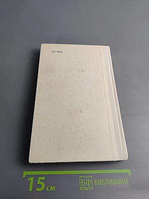 Посол Эмира. Книги вторая и третья