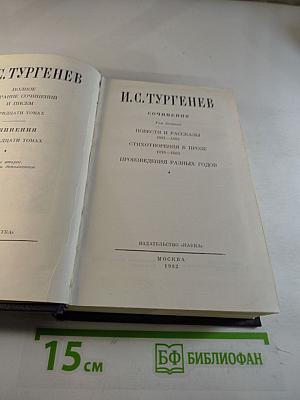 Сочинения. Том 10: Повести и рассказы, стихотворения в прозе, произведения разных годов