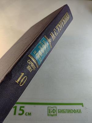 Сочинения. Том 10: Повести и рассказы, стихотворения в прозе, произведения разных годов