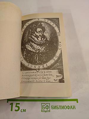 Молодость Генриха IV