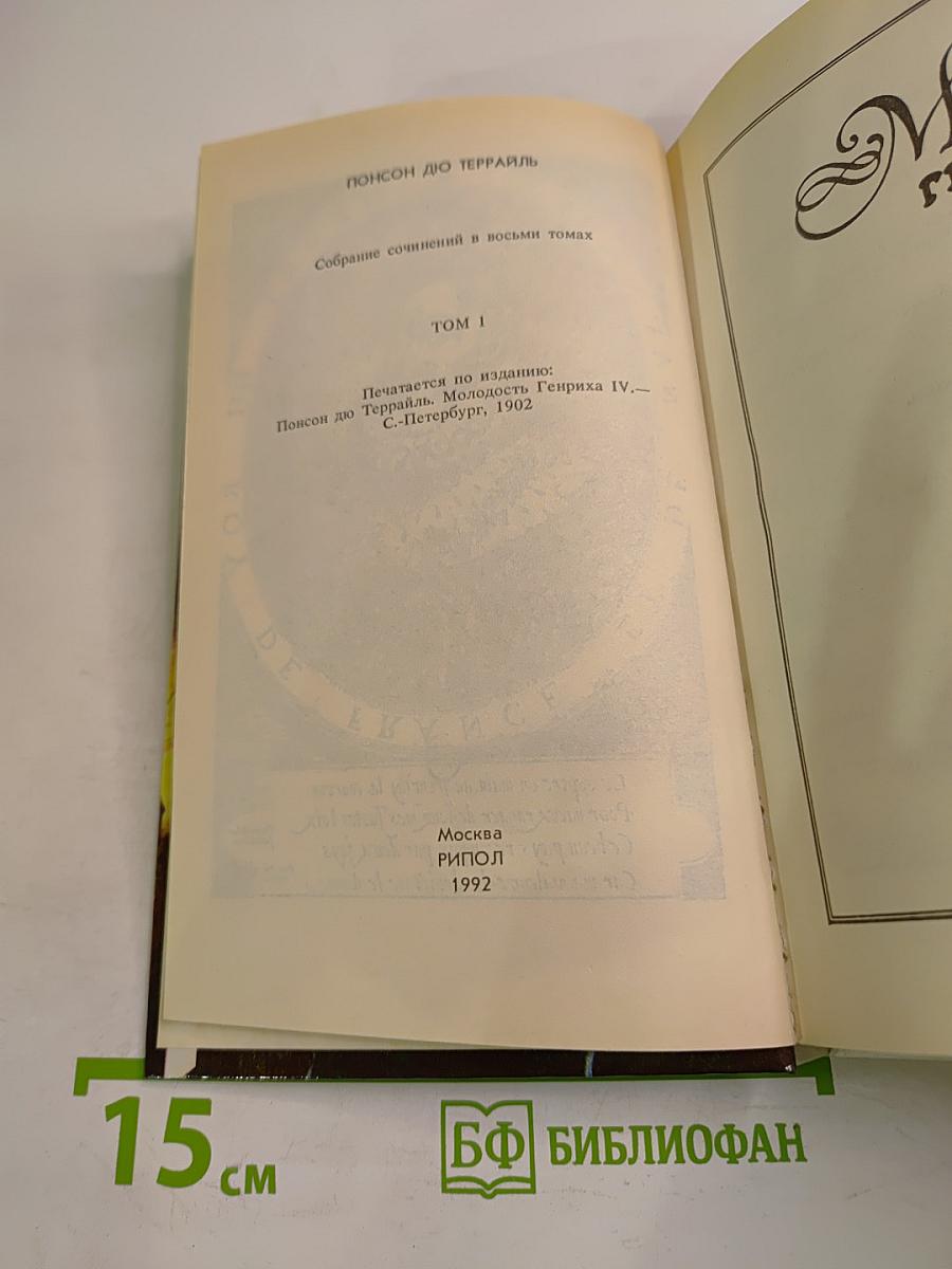 Молодость Генриха IV