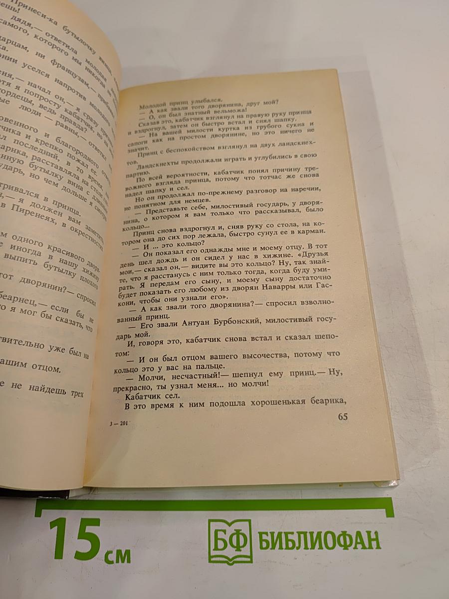 Молодость Генриха IV