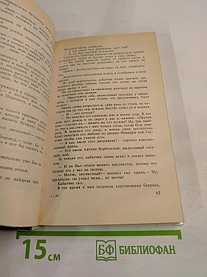 Молодость Генриха IV