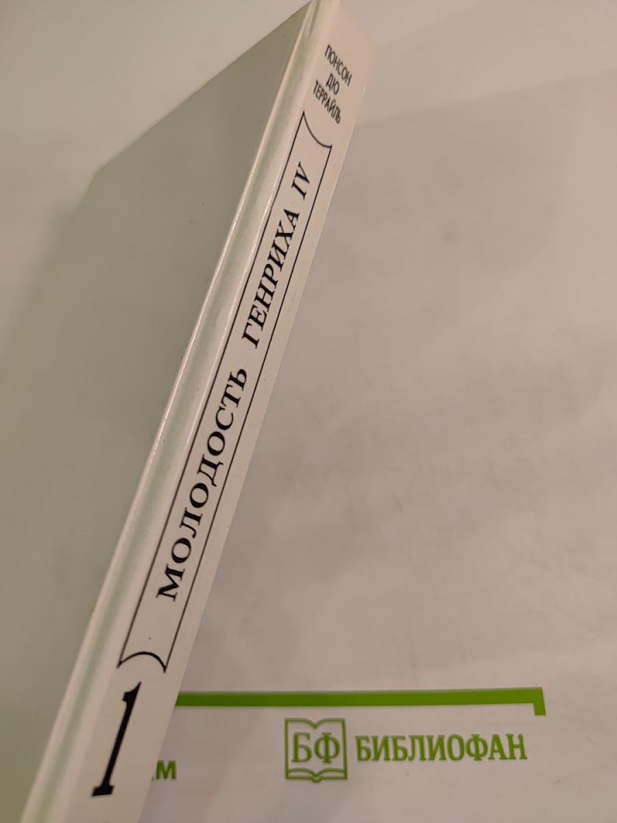 Молодость Генриха IV