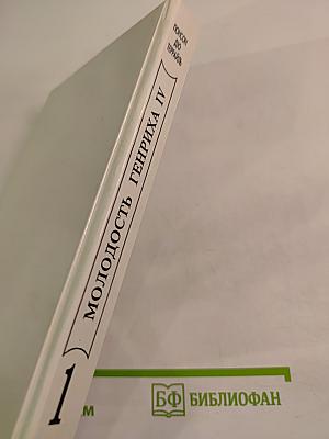 Молодость Генриха IV