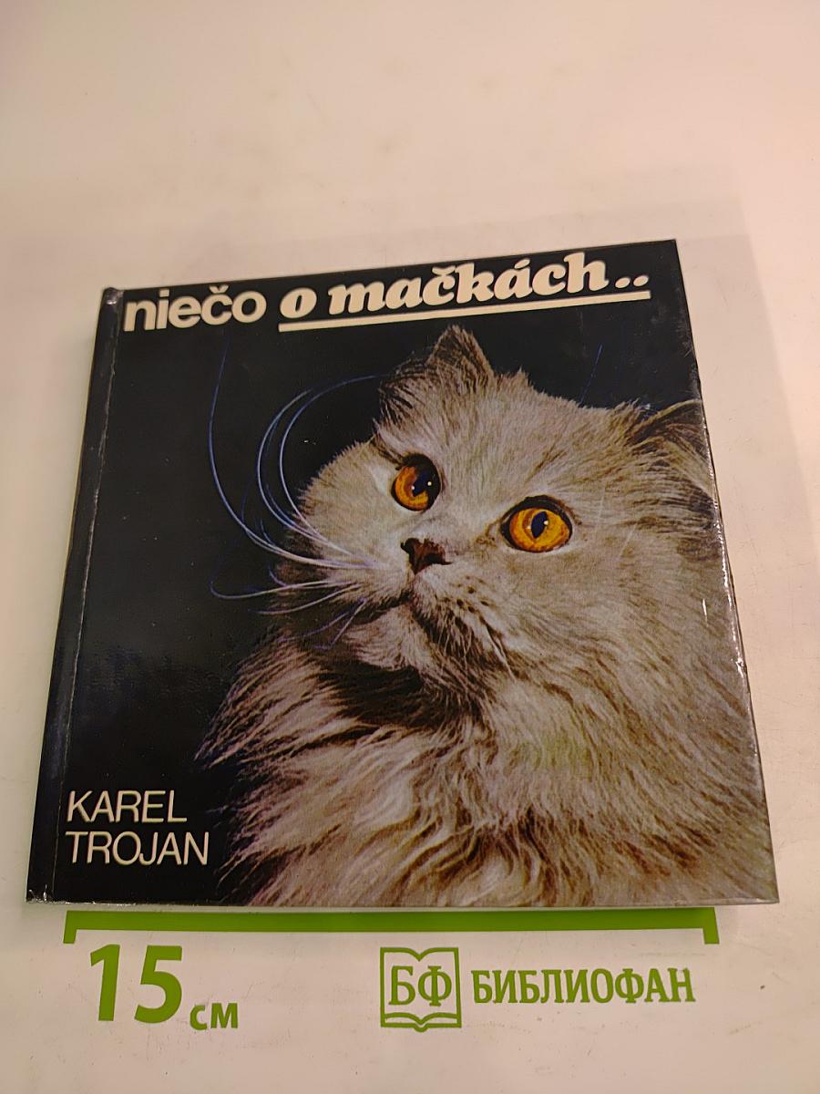 niečo o mačkách..