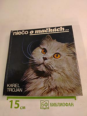 niečo o mačkách..