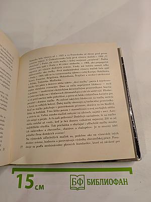 niečo o mačkách..