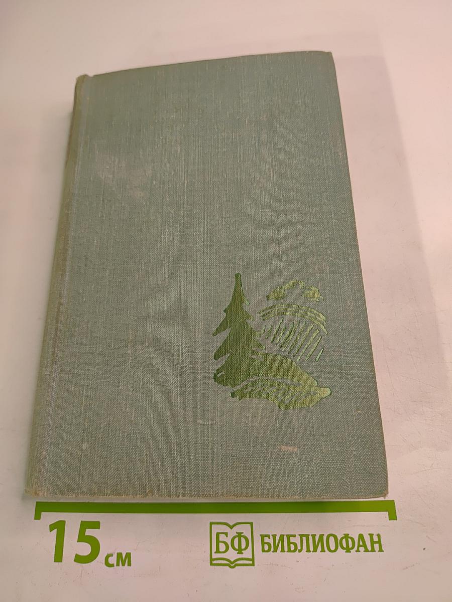 После свадьбы