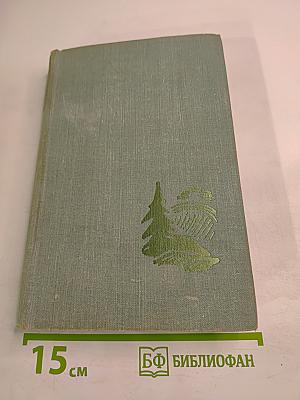 После свадьбы