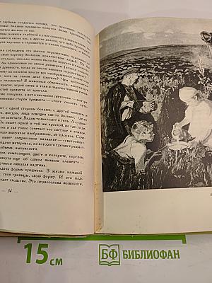 По законам красоты