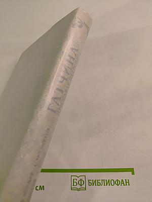 Гатчина при Павле Петровиче Цесаревиче и Императоре