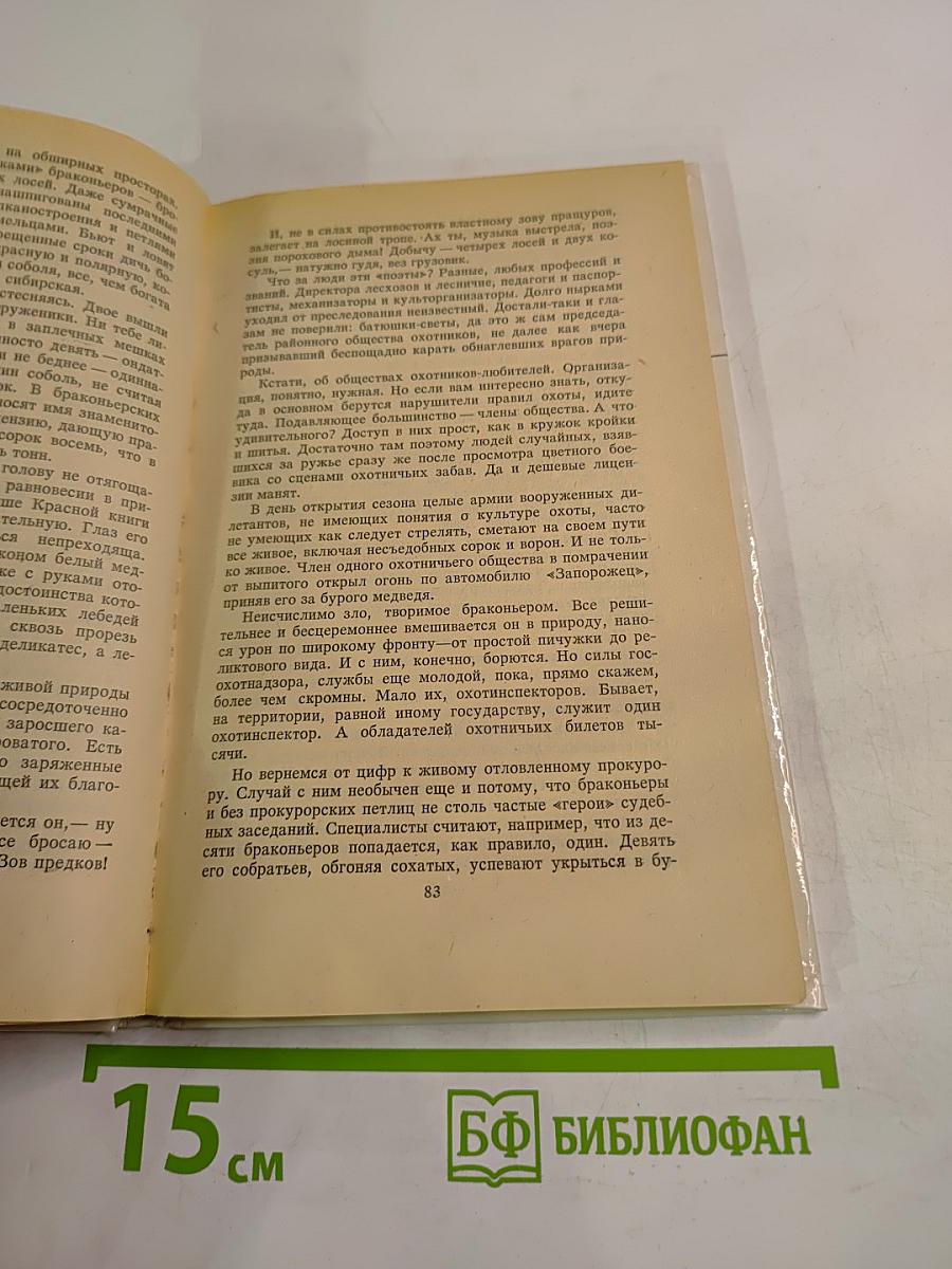 Соло на балалайке