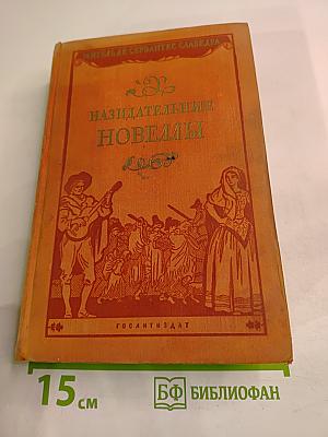 Назидательные новеллы
