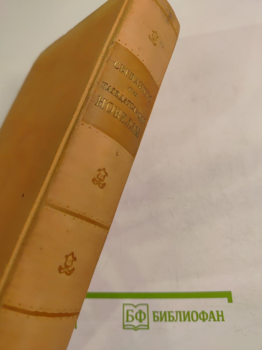 Назидательные новеллы