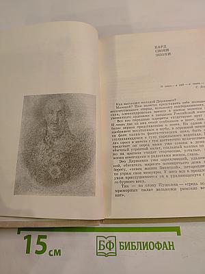В созвездии Пушкина: Книга о русских поэтах