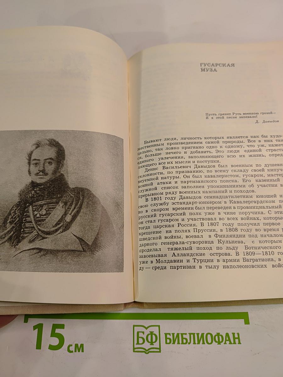 В созвездии Пушкина: Книга о русских поэтах