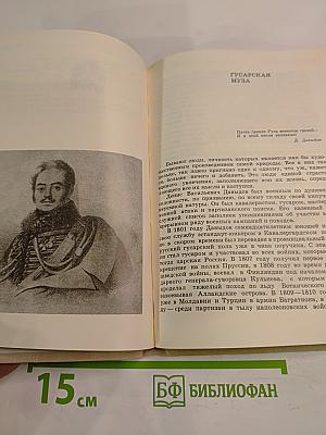 В созвездии Пушкина: Книга о русских поэтах