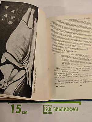 Нико Пиросмани