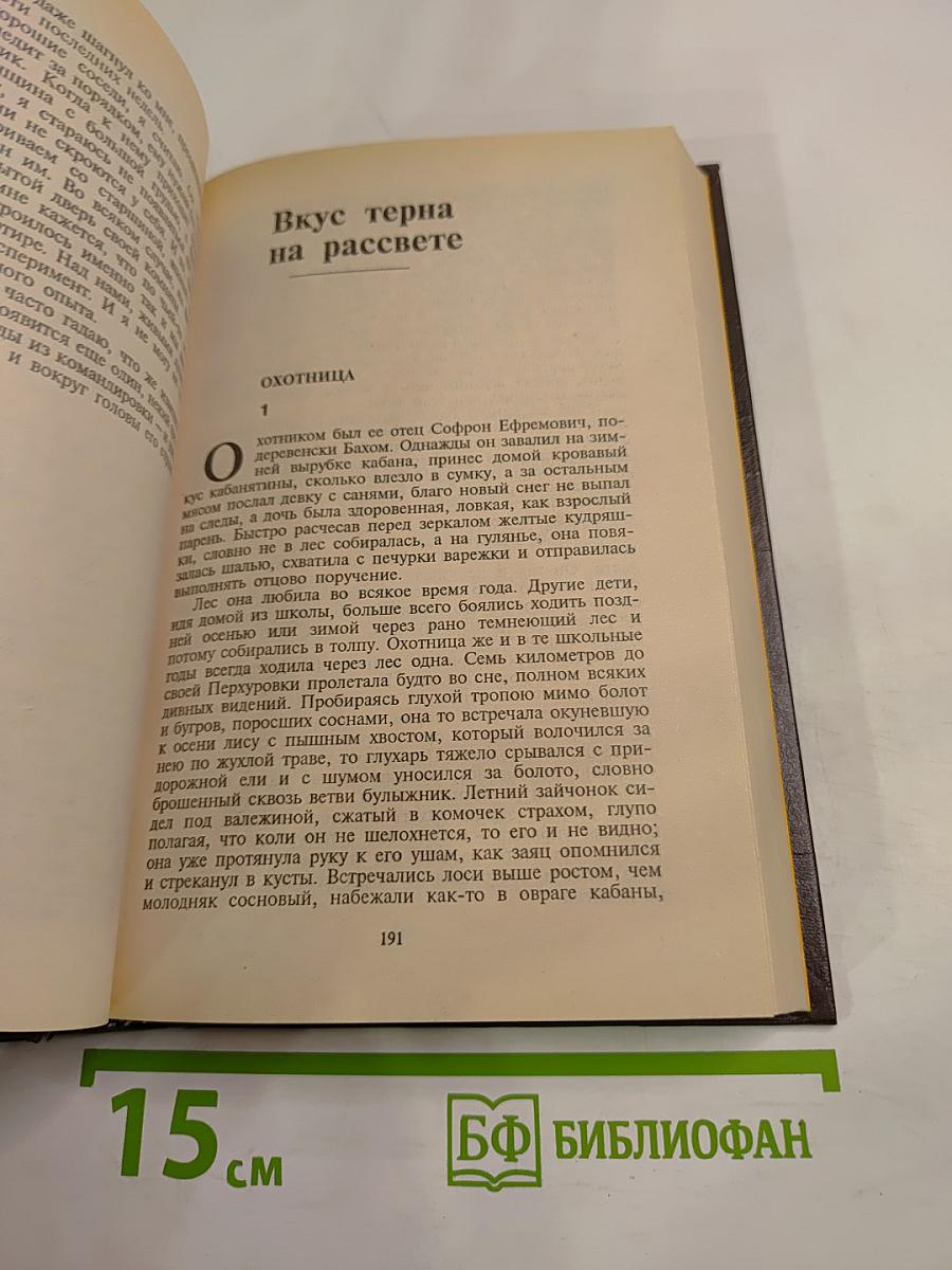 Вкус терна на рассвете. Рассказы