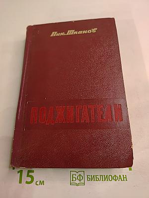 Поджигатели. Книга вторая