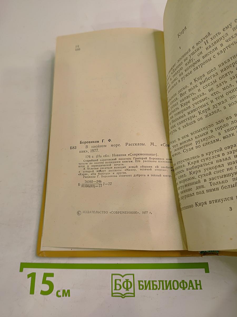 В хвойном море