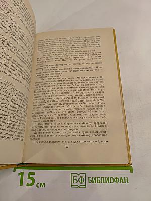 В хвойном море